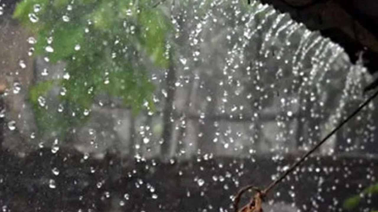 প্রতীকী ছবি