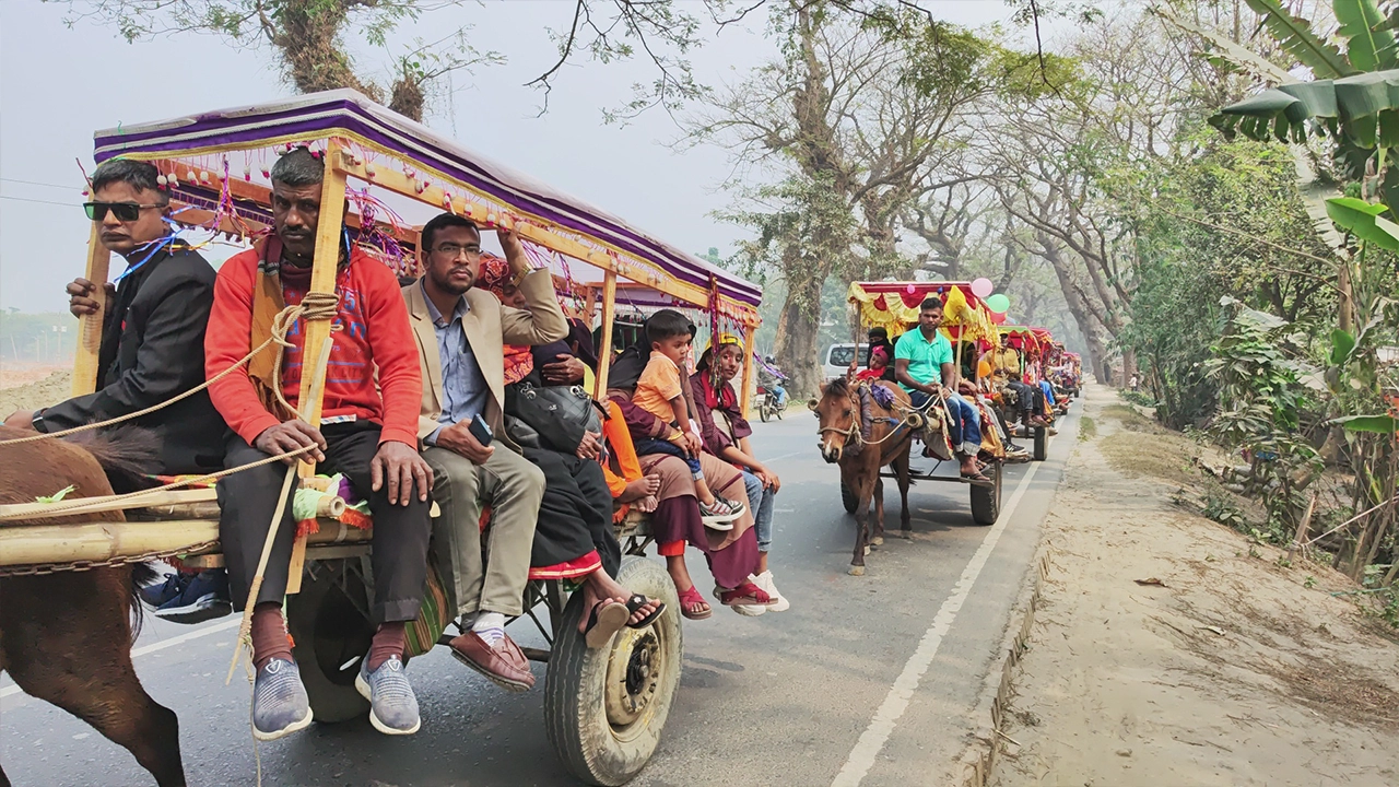 ঐতিহ্যবাহী সুসজ্জিত ঘোড়ার গাড়িতে আনন্দ ভ্রমণে মেতে ওঠেন যশোরের রুপদিয়া নার্সারি পরিবারের সদস্যরা।  ছবি : কালবেলা