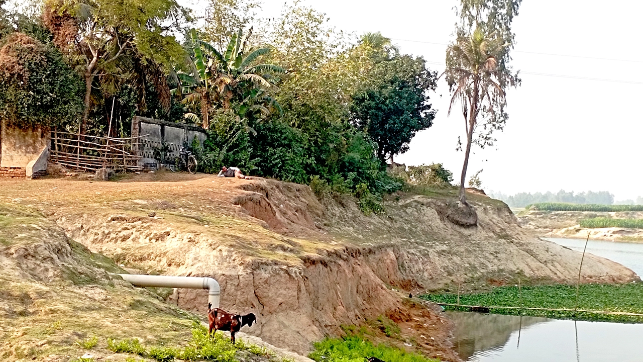 নিশ্চিহ্ন হয়ে গেছে করতোয়া নদীর শহর রক্ষা বাঁধ। ছবি : কালবেলা