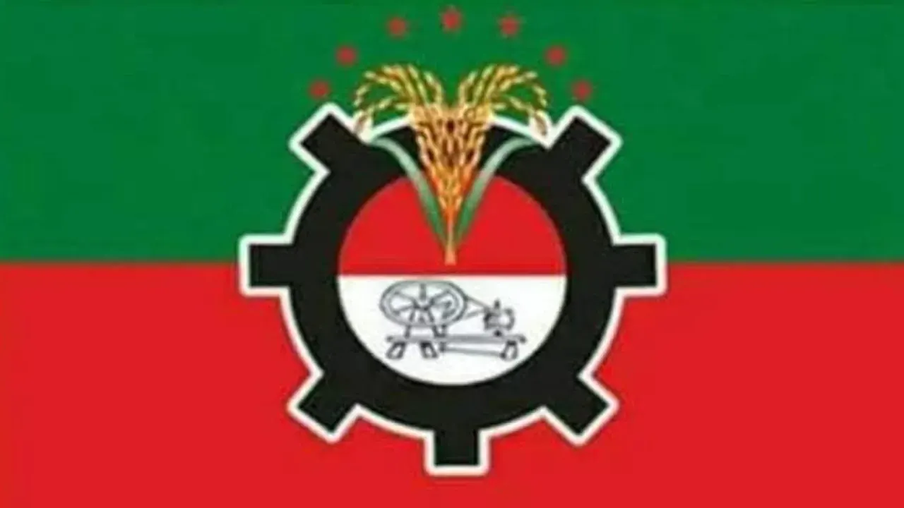 তাঁতী দলের প্রতীক । ছবি : সংগৃহীত