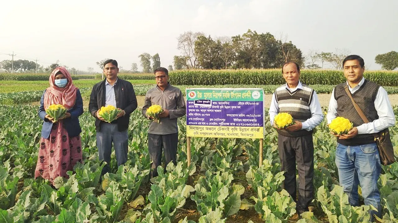 দিনাজপুরের খানসামায় রঙিন ফুলকপি ক্ষেত পরিদর্শনকালে কৃষক আবুল কালাম আজাদের সঙ্গে অন্যান্য পরিদর্শকরা। ছবি : কালবেলা