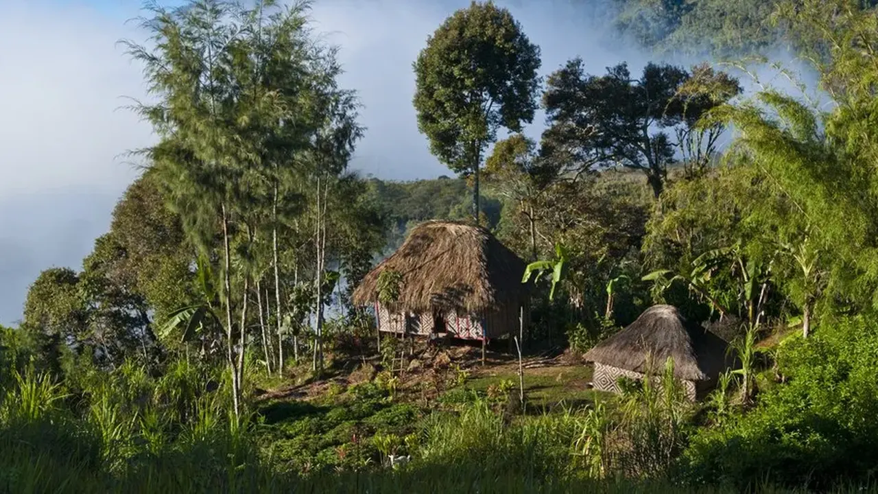 পাপুয়া নিউগিনির পাহাড়ি এলাকায় দীর্ঘদিন ধরে জাতিগত সহিংসতার ঘটনা ঘটছে। ছবি : সংগৃহীত