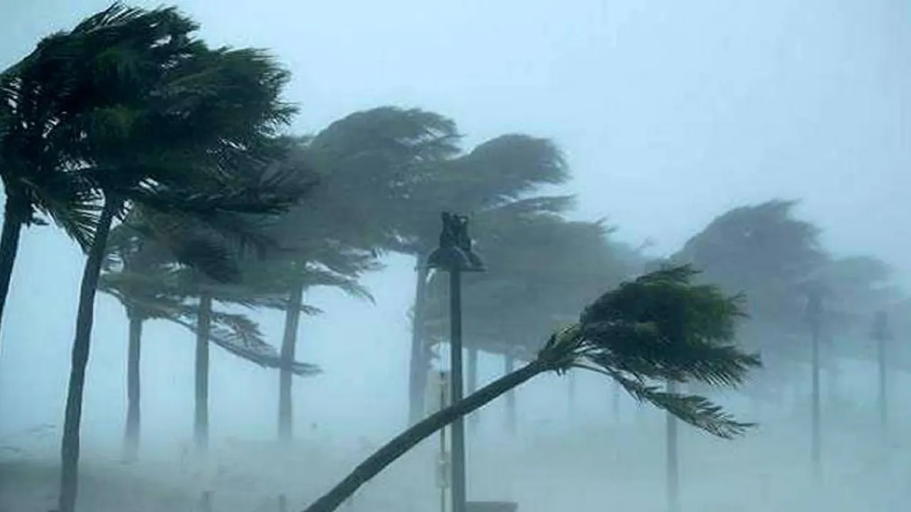 ঝড়ের পুরোনো ছবি।