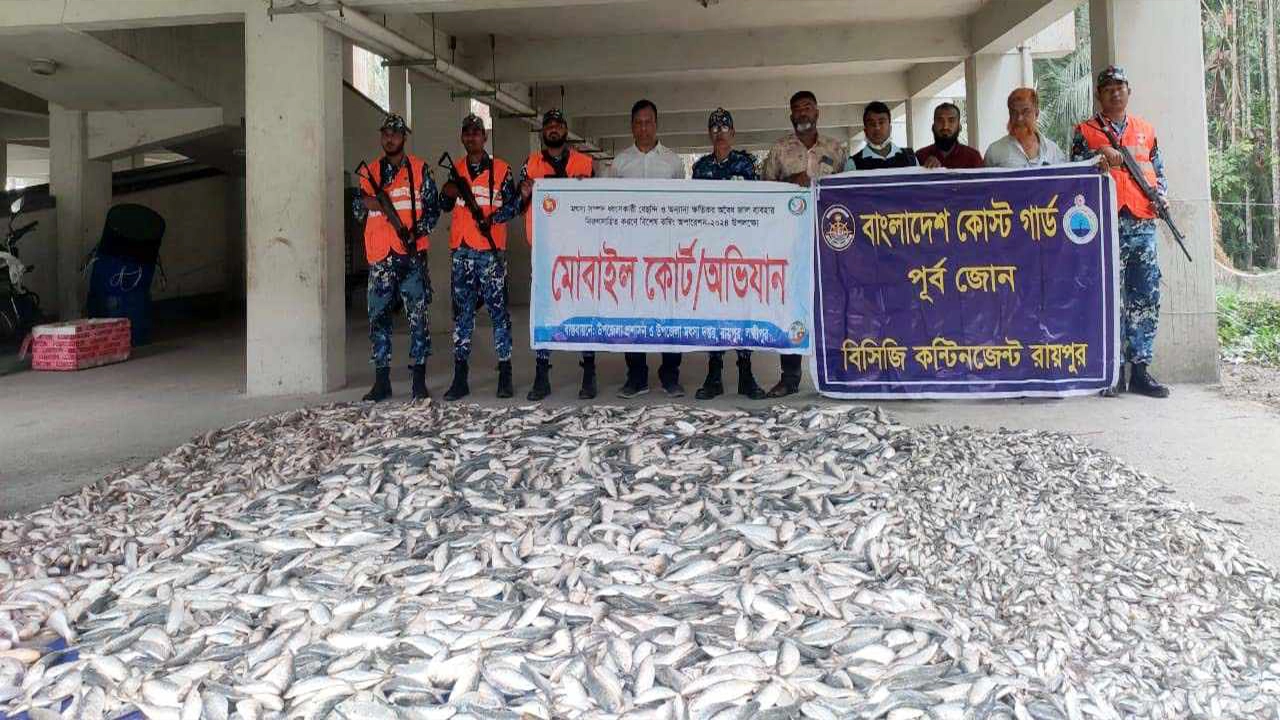 জব্দকৃত জাটকা। ছবি : কালবেলা