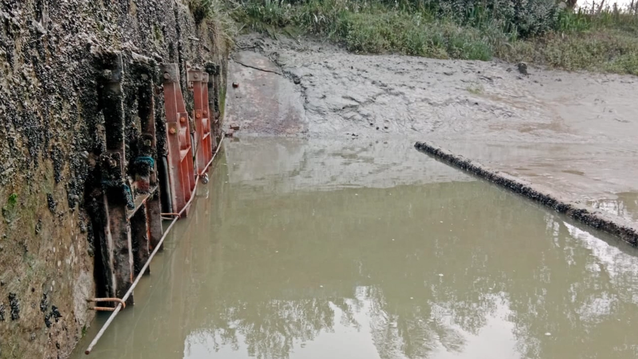 খুলনার পাইকগাছায় লবণ পানি উত্তোলন বন্ধে ৪টি স্লুইস গেট তালাবদ্ধ। ছবি : কালবেলা
