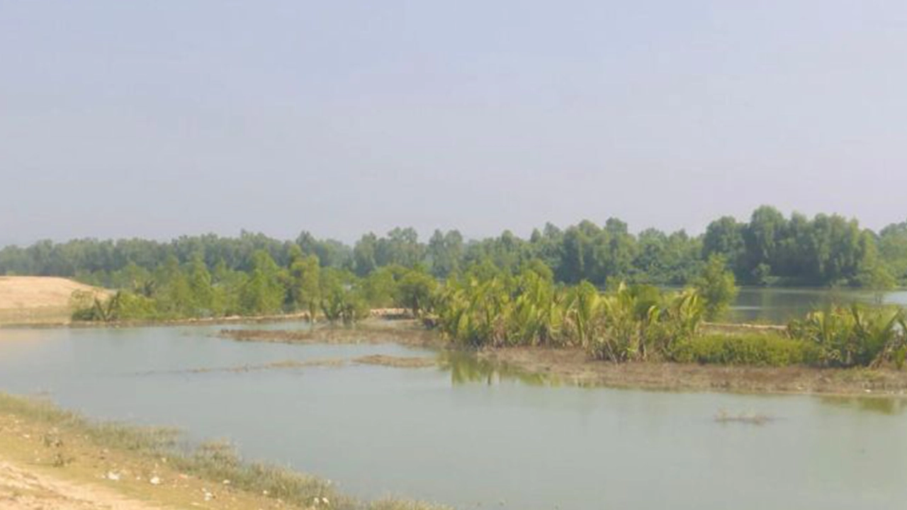 টেকনাফ সীমান্ত। ছবি : কালবেলা