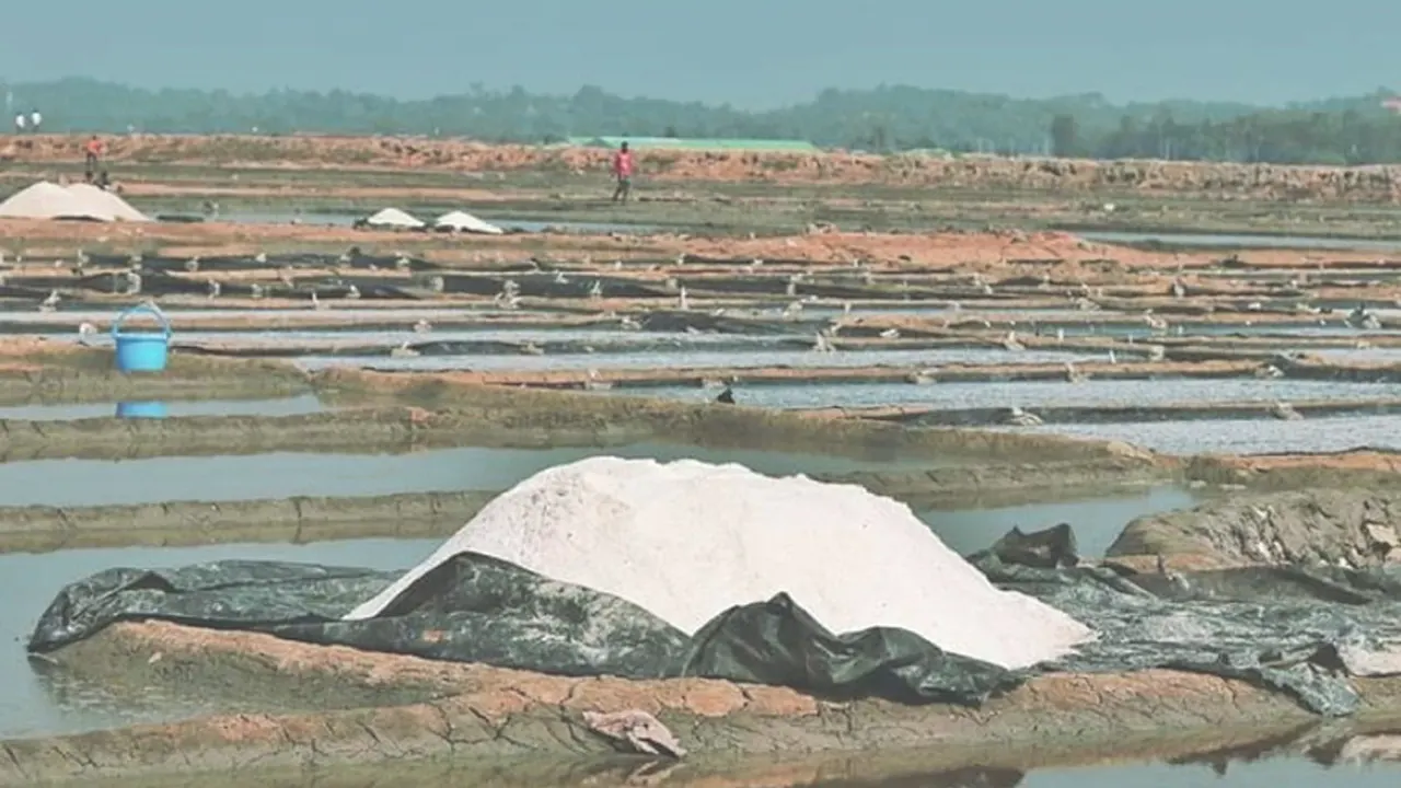 মহেশখালী সোনাদিয়ার একটি লবণের মাঠ। ছবি : সংগৃহীত