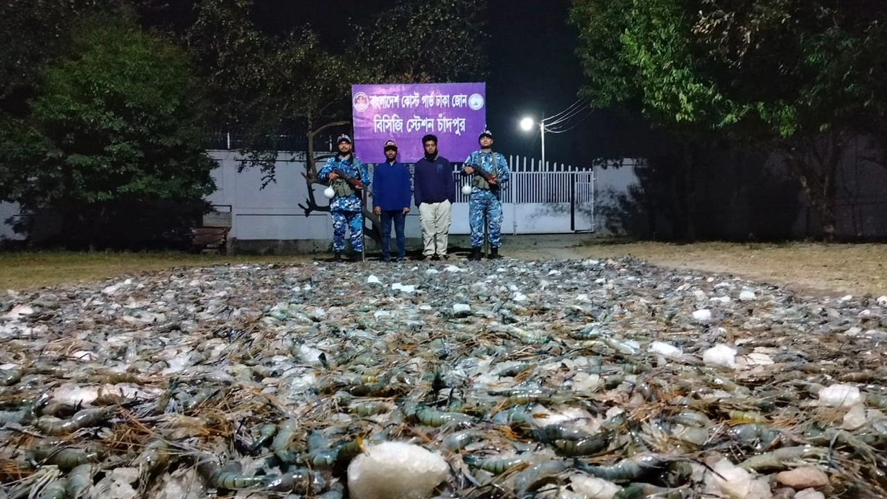 জব্দকৃত চিংড়ি। ছবি : কালবেলা
