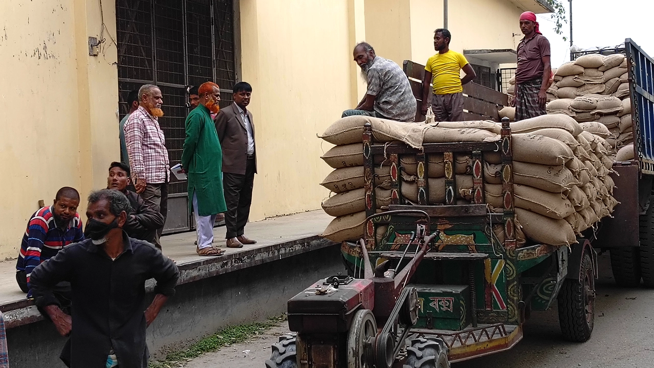 খাদ্যগুদাম থেকে নেওয়া হচ্ছে চাল। ছবি : কালবেলা