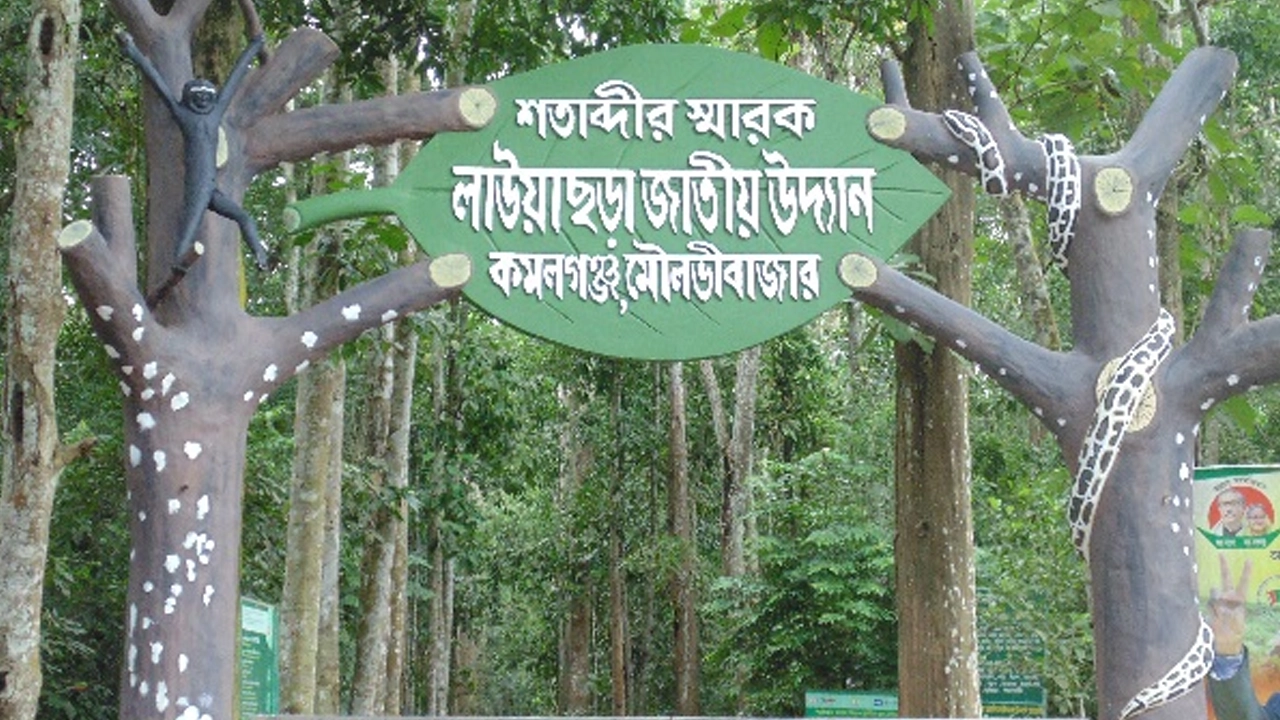 লাউয়াছড়া জাতীয় উদ্যান। ছবি : সংগৃহীত