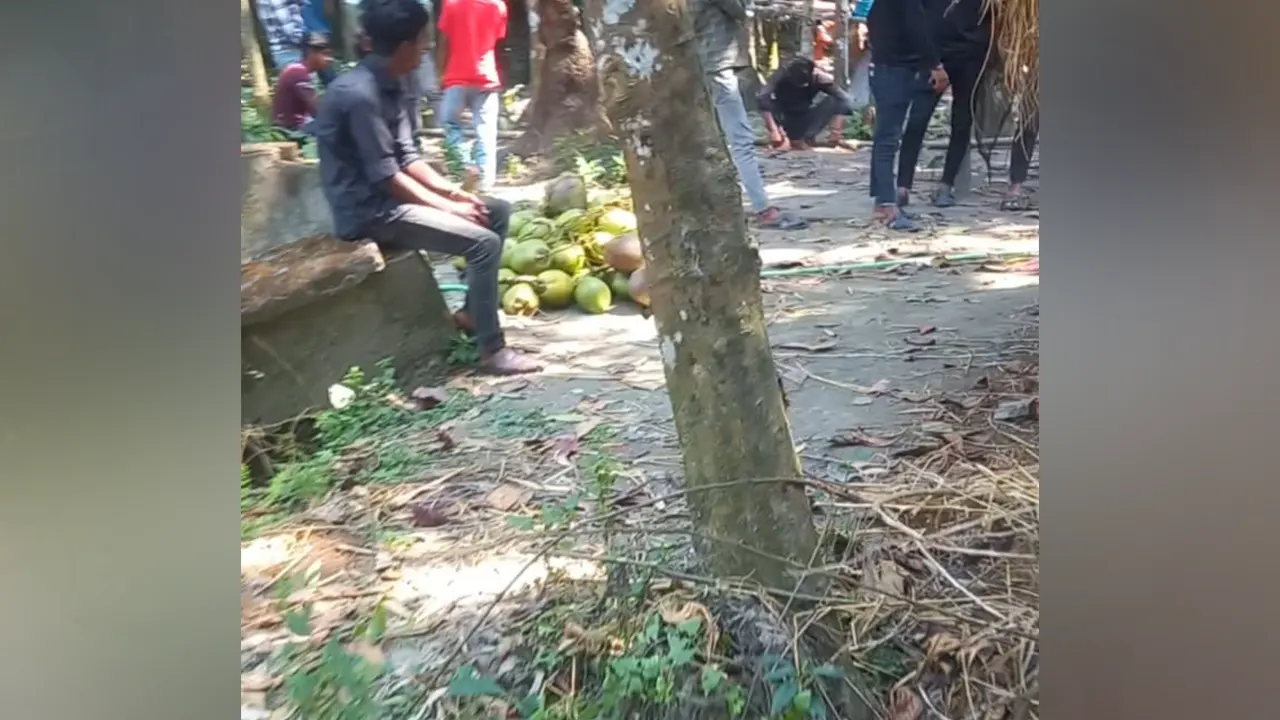 লক্ষ্মীপুরে আমেরিকান প্রবাসীর বাগান লুটের অভিযোগ। ছবি : কালবেলা