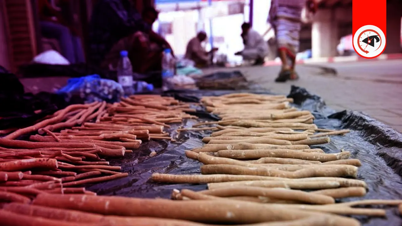 মেসওয়াক করা