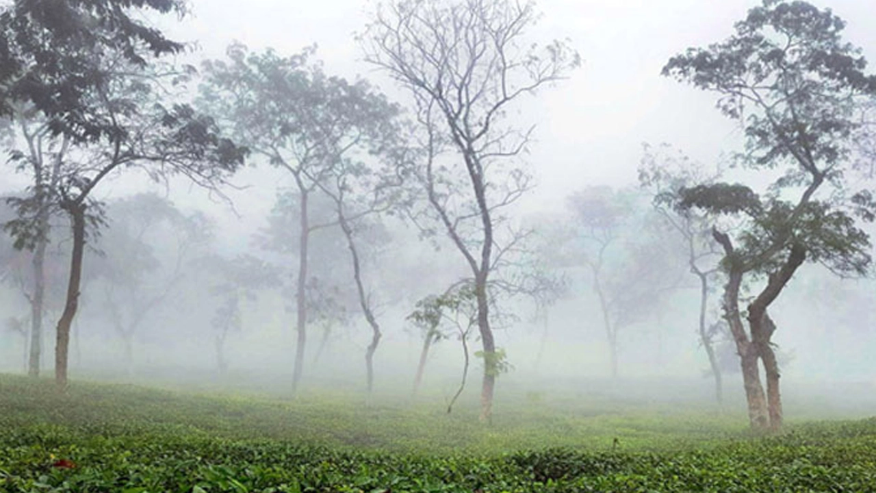 পুরনো ছবি।