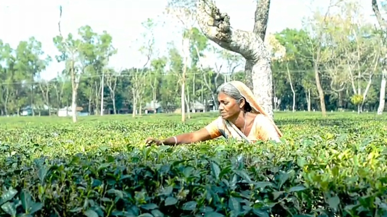 ‘সফল জননী’ হিসেবে জয়িতা সম্মাননা পেলেন কমলি রবিদাস। ছবি : কালবেলা