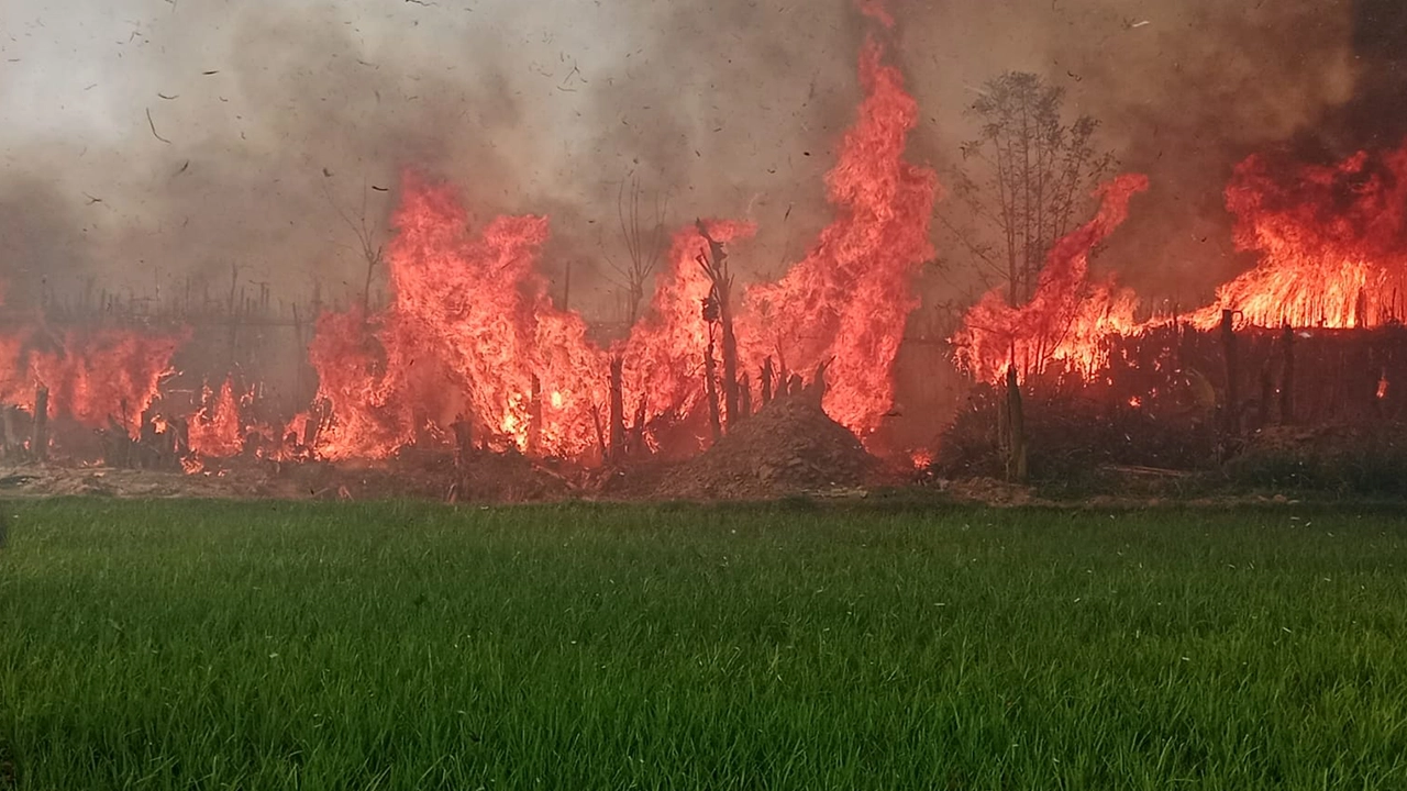 কুষ্টিয়ায় ভেড়ামারায় পানের বরজে আগুন। ছবি : কালবেলা