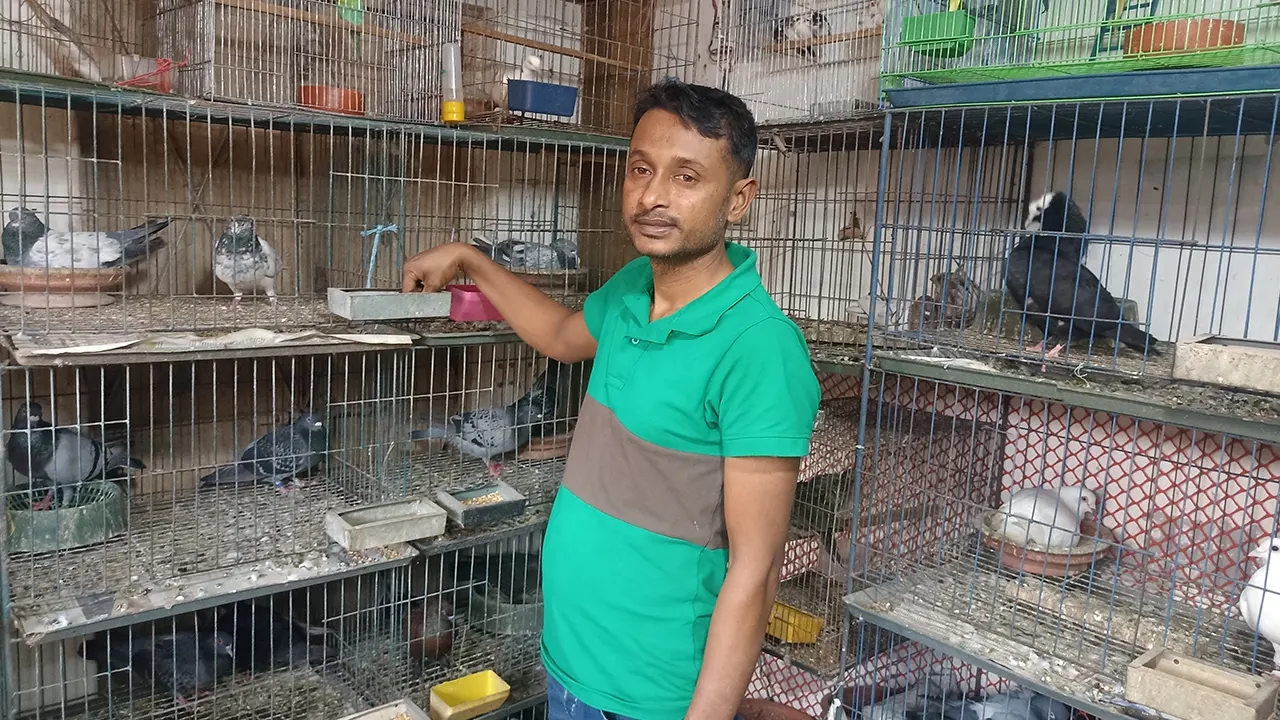নিজ দোকানে পাখি খামারি গোলাম মোস্তফা। ছবি : কালবেলা