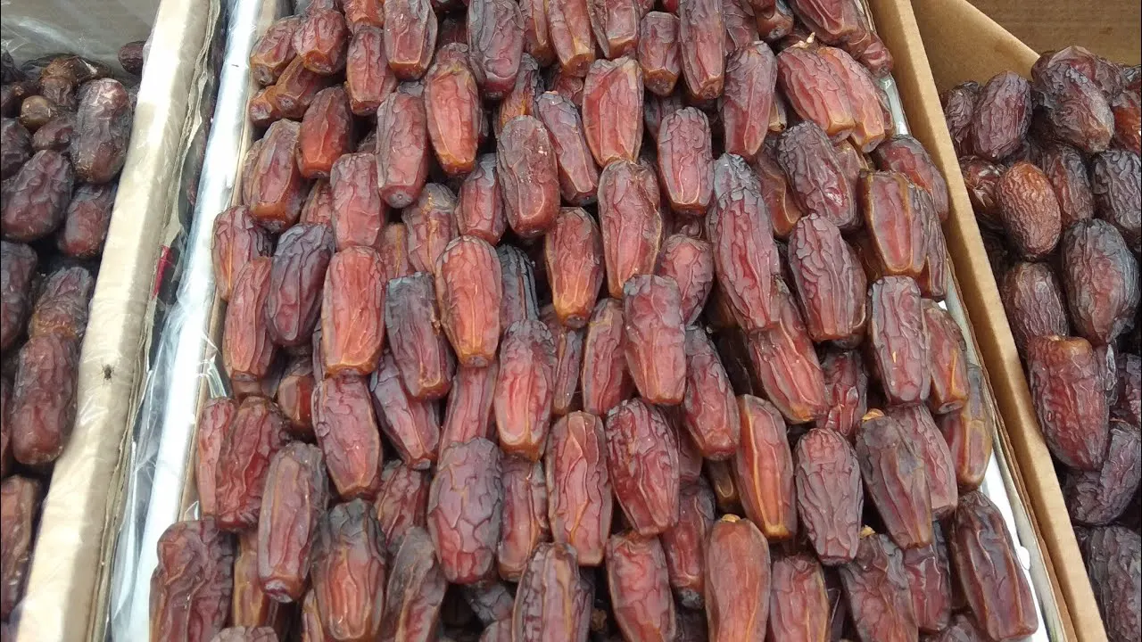 প্রতীকী ছবি
