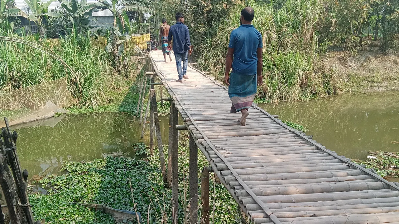কালীগঞ্জের চলবলার বারাজান এলাকায় ভ্যাটেশ্বর নদীতে বাঁশের সাঁকো পার হচ্ছেন পথচারী। ছবি : কালবেলা