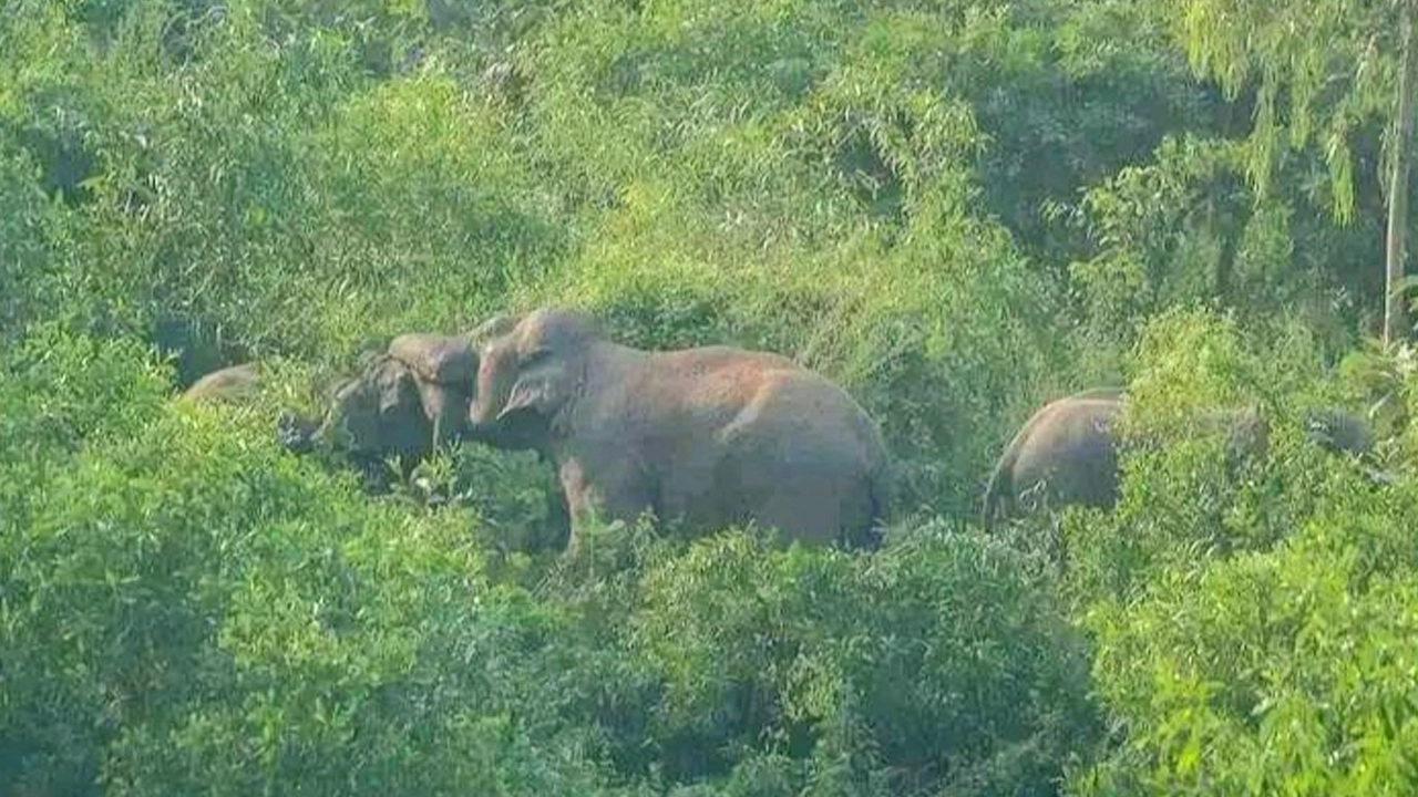 প্রতীকী ছবি