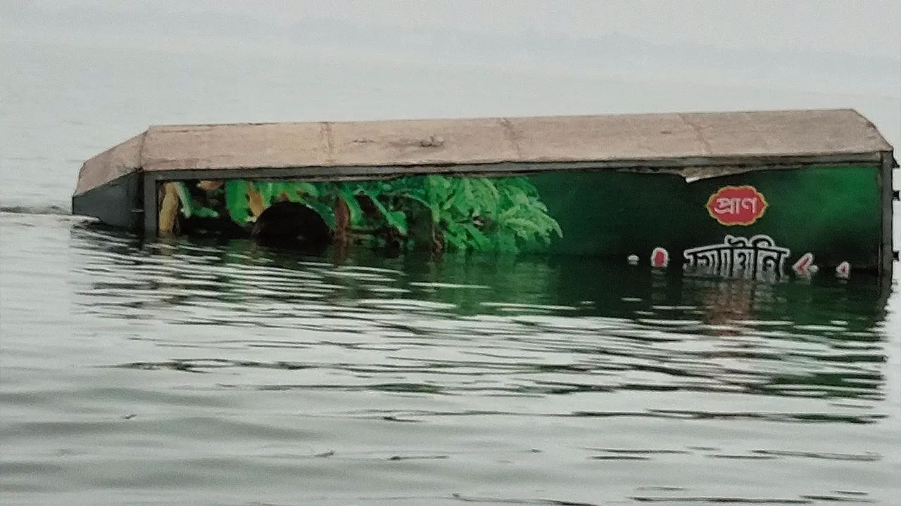 পদ্মায় ডুবে যাওয়া কাভার্ডভ্যান। ছবি : কালবেলা