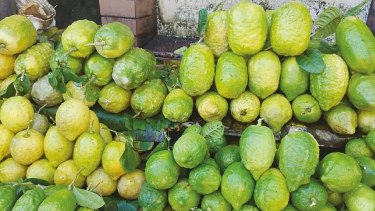 লেবু বিক্রির জন্য পসরা সাজিয়েছেন বিক্রেতা। ছবি : কালবেলা