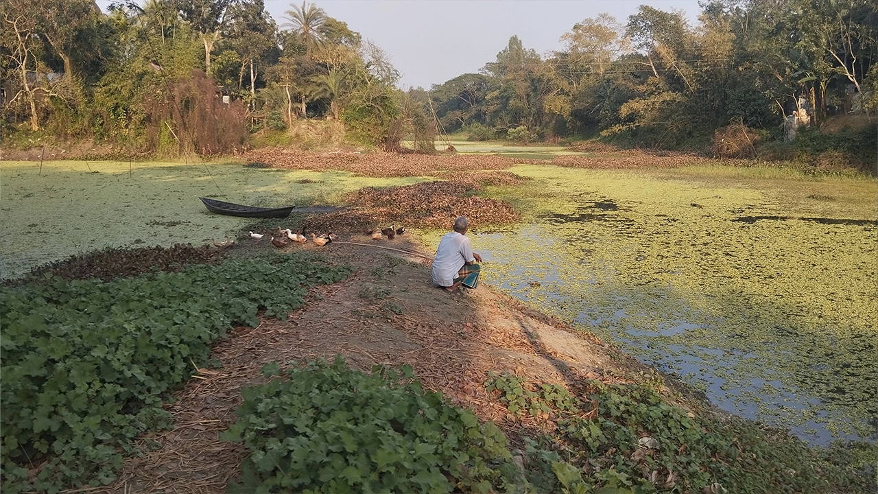 রাস্তা ভেঙে দুই গ্রামের যাতায়াত বন্ধ। ছবি : কালবেলা