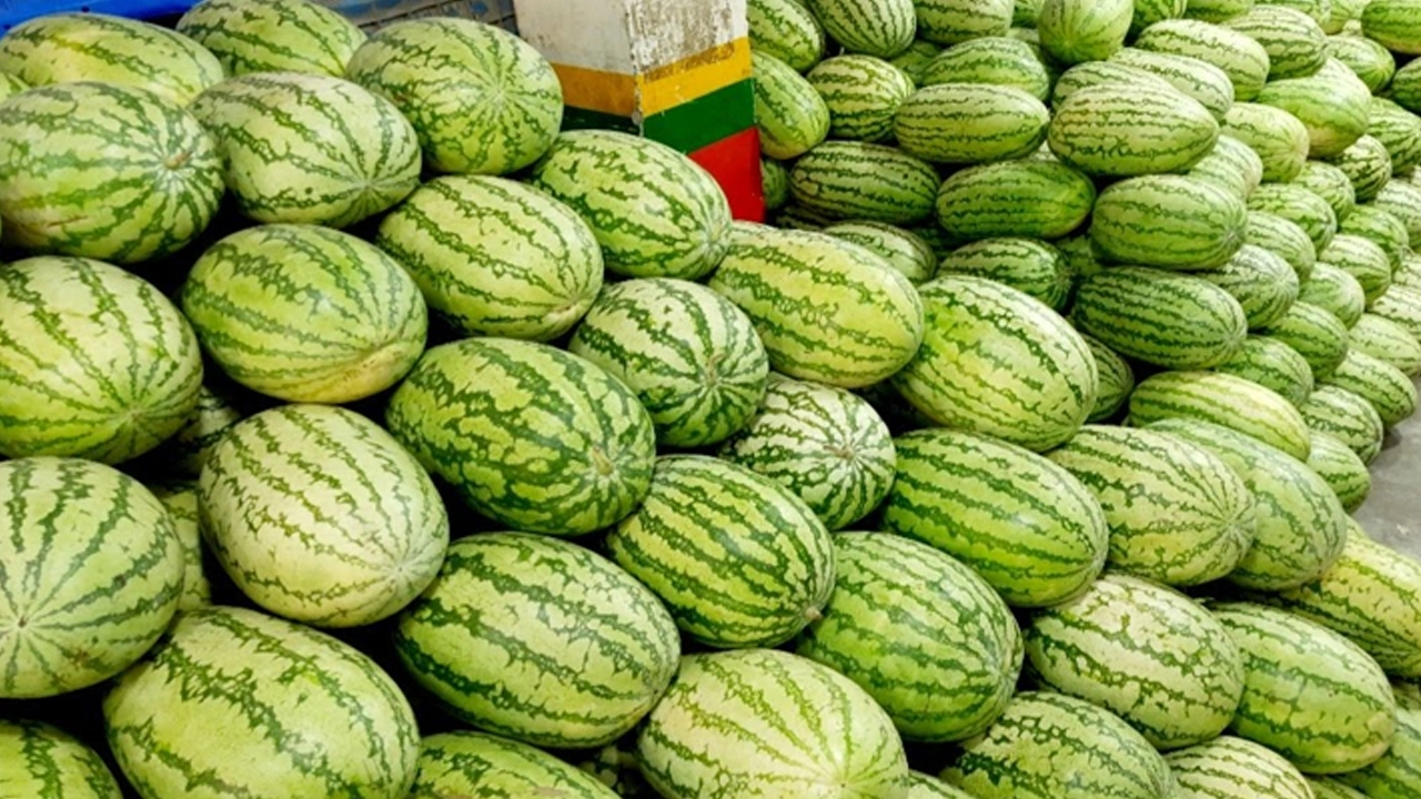 তরমুজের বাজার। ছবি : সংগৃহীত