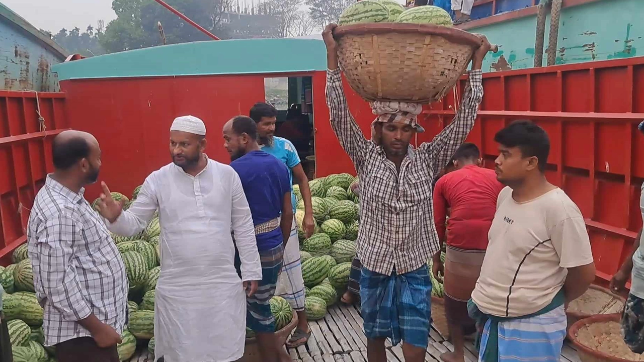 ট্রলারে করে পদ্মা ও মেঘনা নদী পাড়ি দিয়ে চাঁদপুর ১০নং চৌধুরী ঘাটে আসা তরমুজগুলো খালাস করছেন শ্রমিকরা। ছবি : কালবেলা