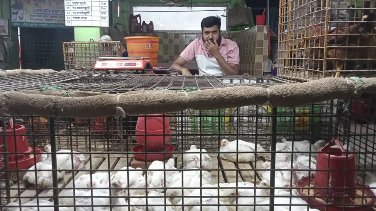 ঝিনাইদহ মুরগি বাজার। ছবি : কালবেলা
