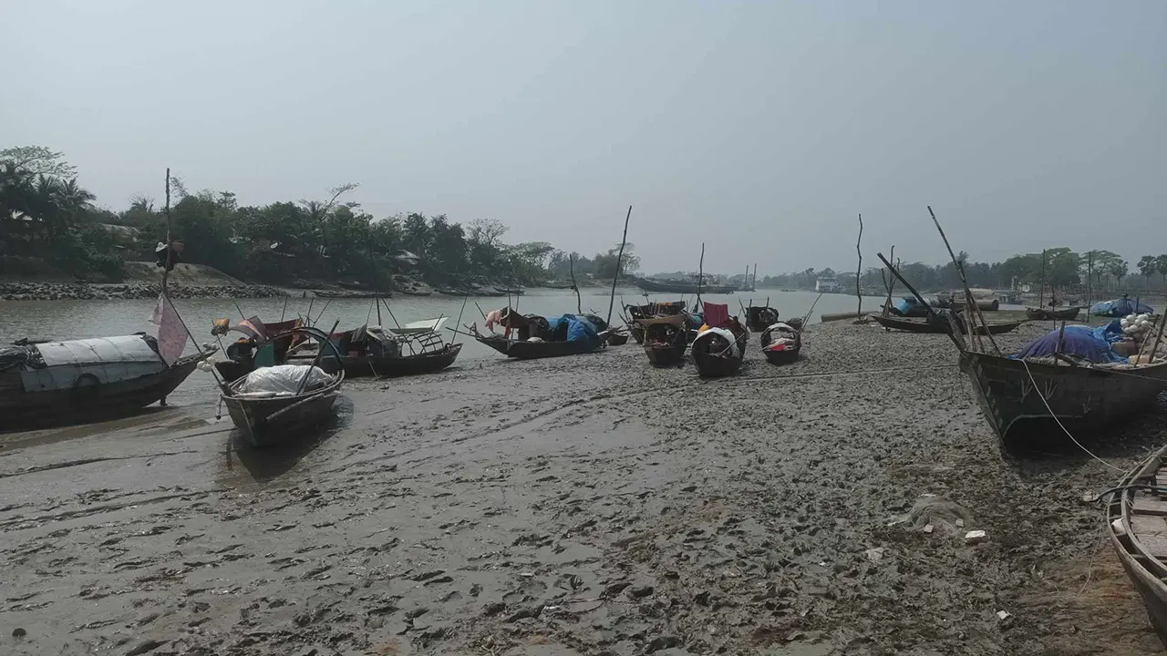 হাট এলাকা থেকে মঙ্গলবার বিকেলে তোলা। ছবি : কালবেলা