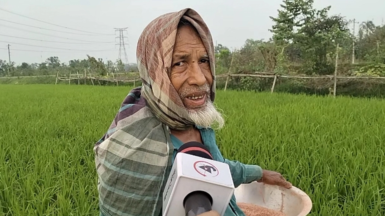 সারের দাম বৃদ্ধিতে ক্ষুব্ধ প্রতিক্রিয়া জানান ব্রাহ্মণবাড়িয়ার কসবার এক কৃষক। ছবি : কালবেলা