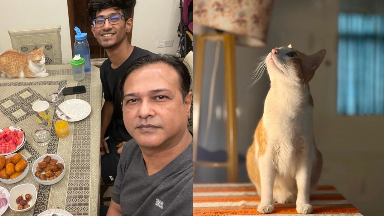 শখের বিড়াল হারিয়ে থানায় জিডি করলেন আসিফ 