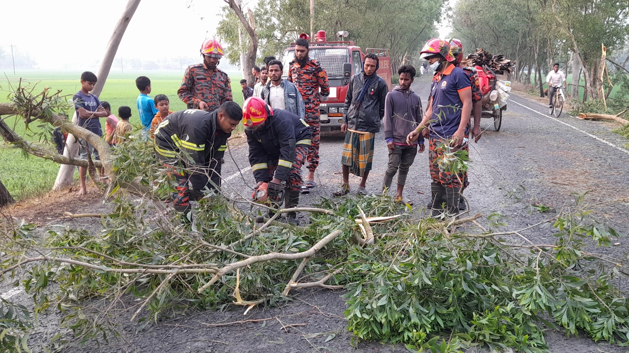 পার্বতীপুর-ফুলবাড়ী মহাসড়কে ঝড়ে ভেঙে পড়া গাছ সরিয়ে নেন ফায়ার সার্ভিসের কর্মীরা। ছবি : কালবেলা