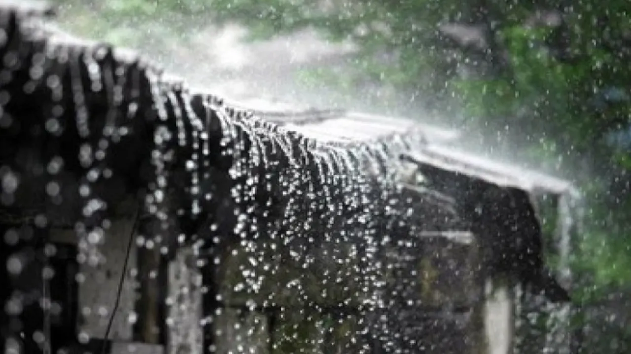 পুরোনো ছবি