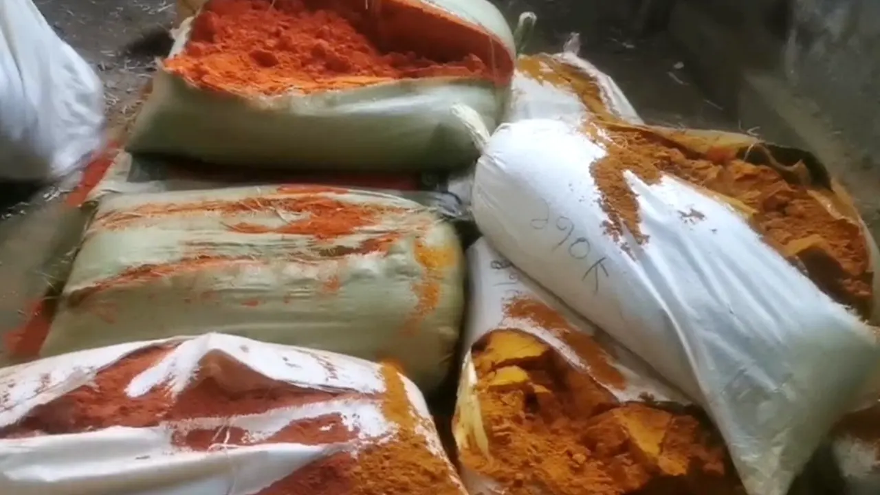 বগুড়া শহরের রাজাবাজারে একটি হলুদ মিলে অভিযান চালিয়ে পশুর খাদ্য, হলুদ ও মরিচের গুঁড়া এবং পোকামাকড় যুক্ত শুকনা মরিচ জব্দ করা হয়। ছবি : কালবেলা