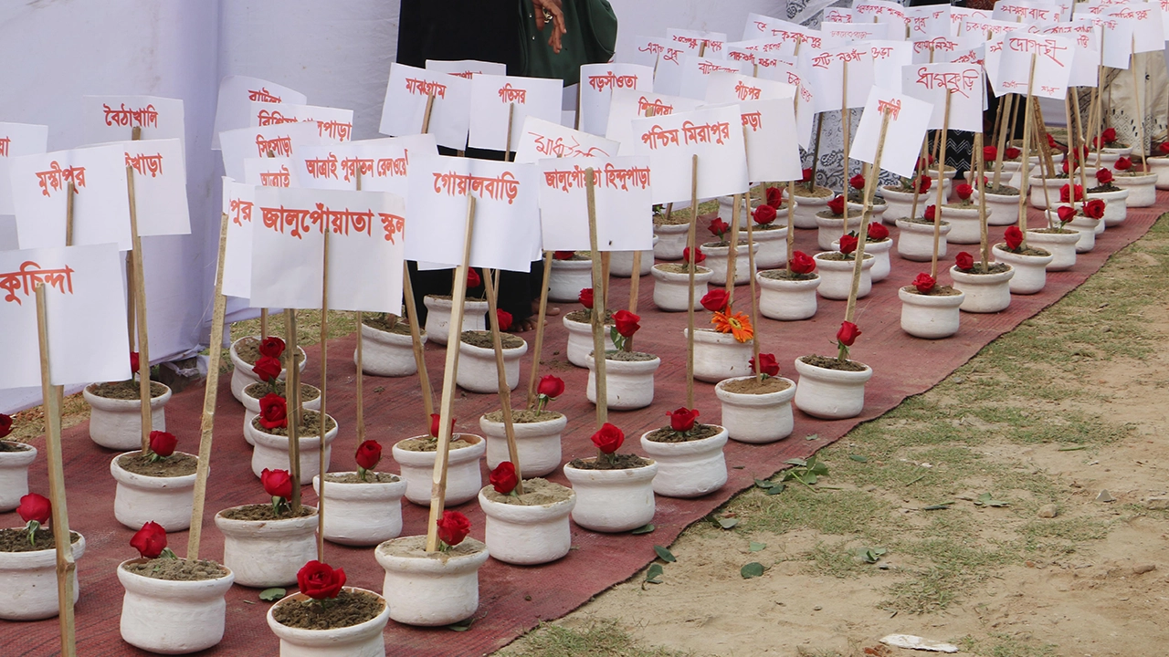 নওগাঁয় গণহত্যা সংঘটন স্থানের মাটি সংগ্রহ করে শ্রদ্ধা জানানো হয়। ছবি : কালবেলা