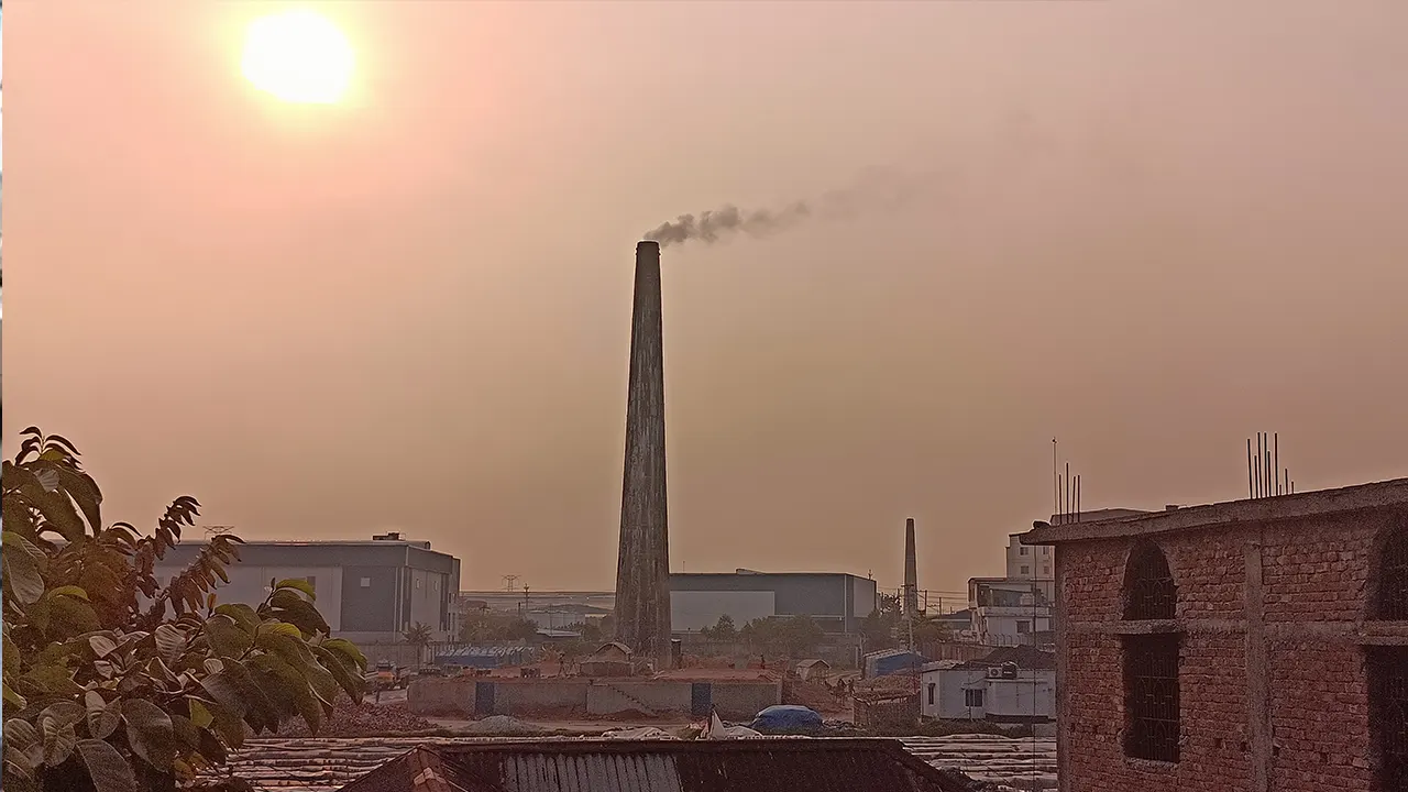 নারায়ণগঞ্জে ইটভাটায় ভরপুর। ছবি : কালবেলা