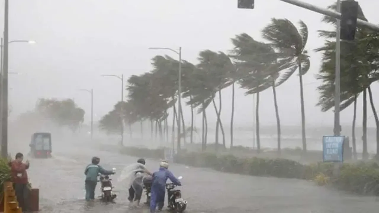 প্রতীকী ছবি।