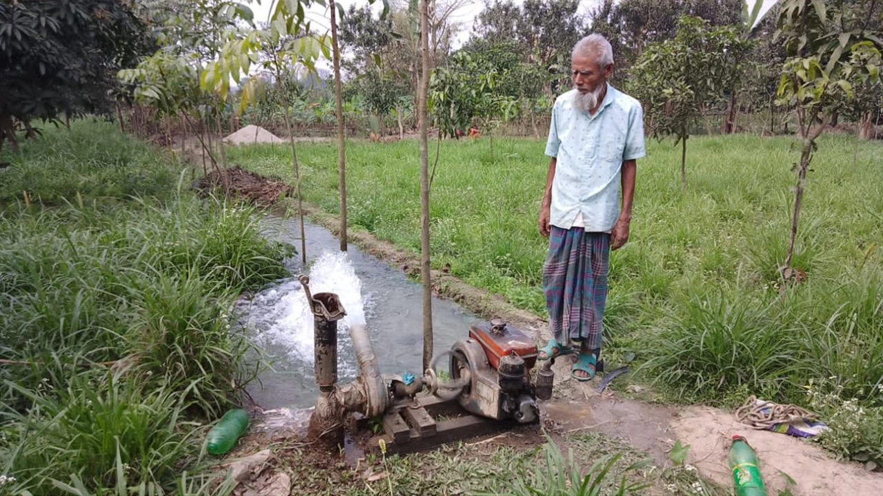 নেপিয়ার ঘাস ক্ষেতে শ্যালো মেশিন দিয়ে সেচ দিচ্ছেন চাষি আজিজুর রহমান সরকার। ছবি : কালবেলা