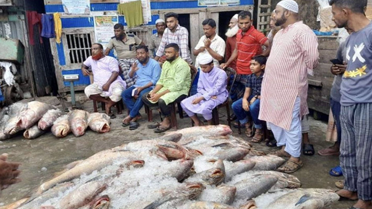 বরিশালে জেলের জালে ধরা পড়া লাক্ষা মাছ। ছবি : কালবেলা