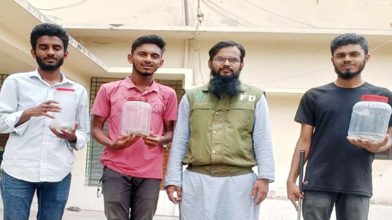 বরিশালে একটি বাসার ছাদ থেকে তিনটি কালনাগিনী সাপ উদ্ধার। ছবি : কালবেলা