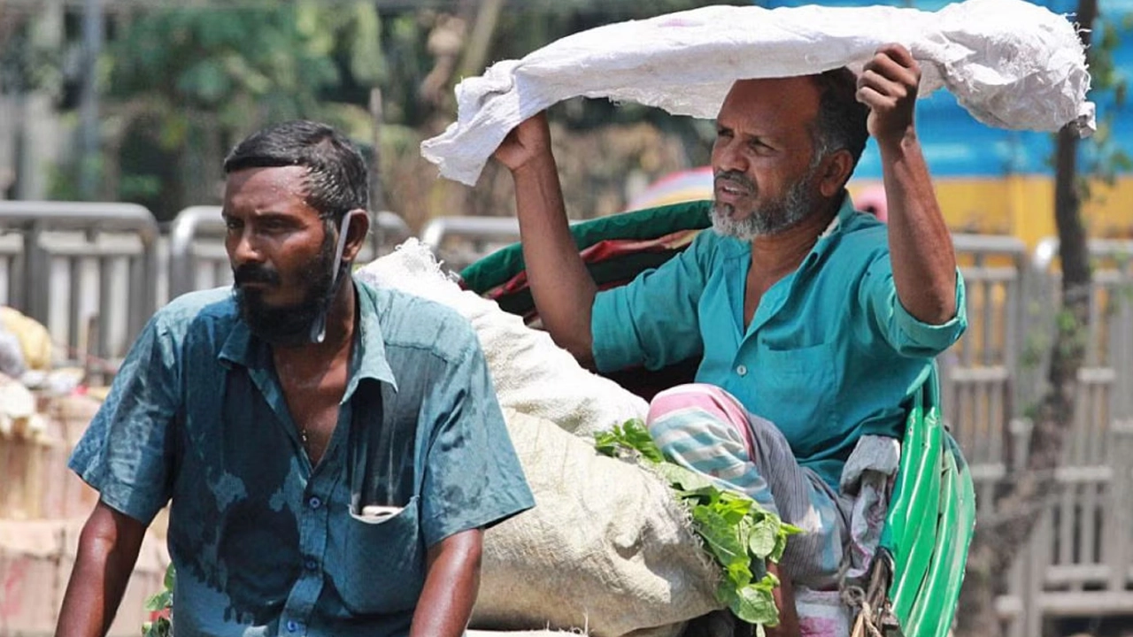 তীব্র দাবদাহ থেকে বাঁচার চেষ্টা। ছবি : সংগৃহীত