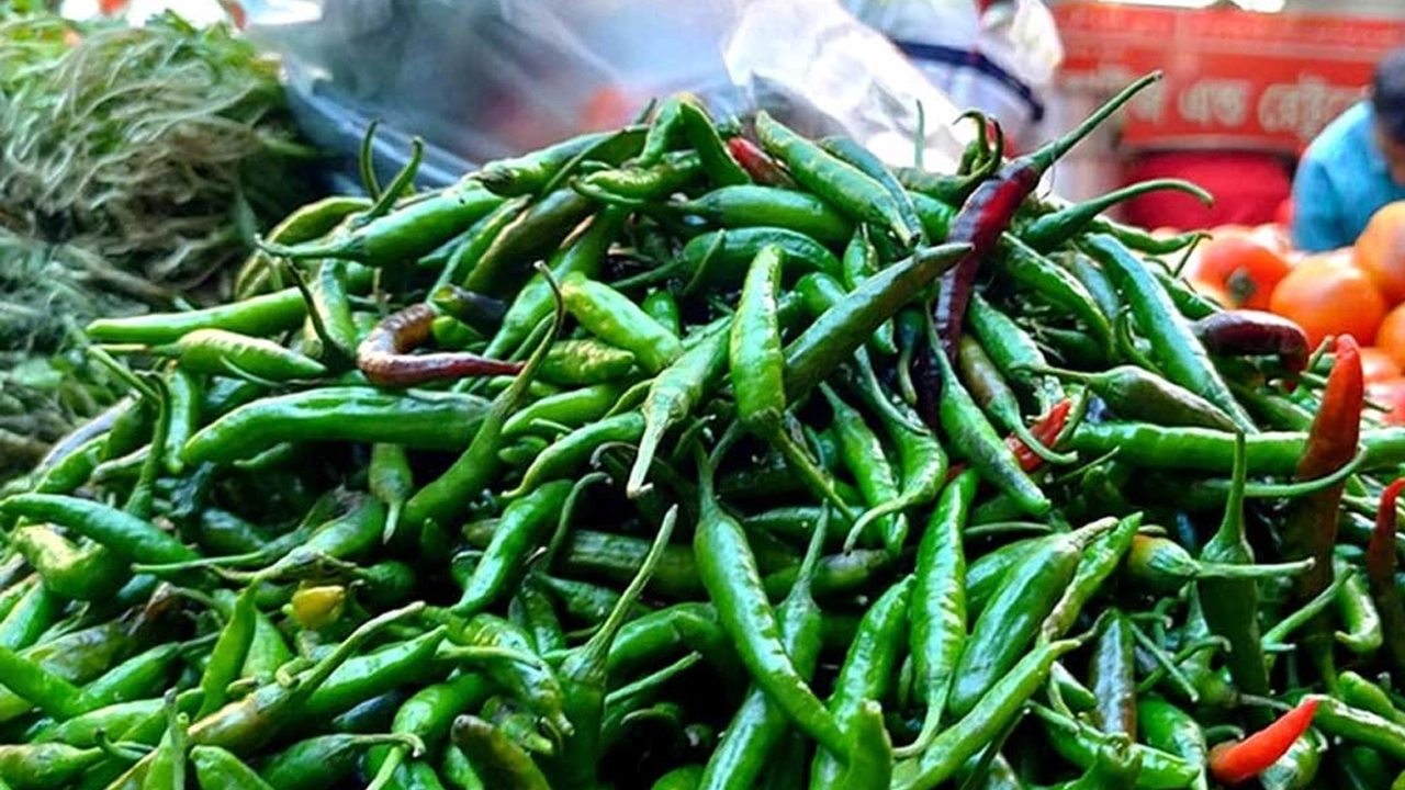 কাঁচামরিচ। ছবি : সংগৃহীত