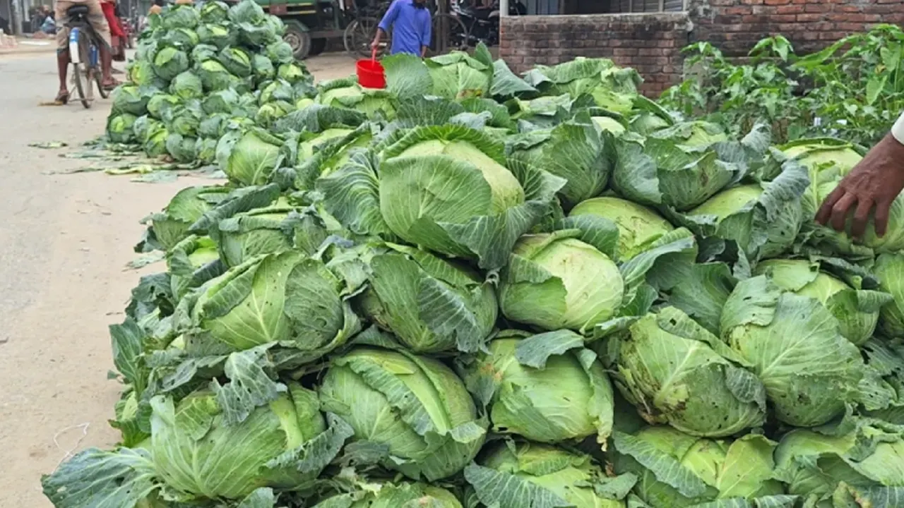 ছবি : সংগৃহীত