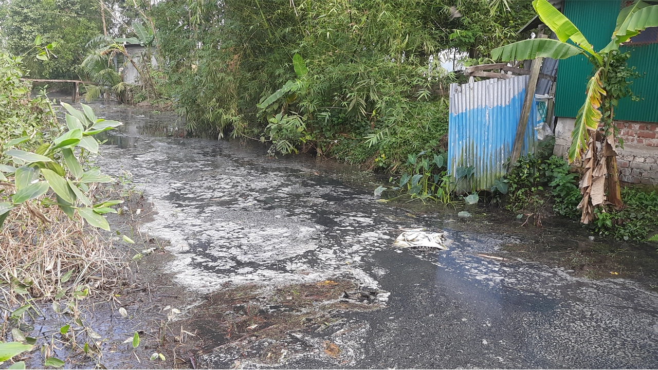 নবাবপুর-আমিরাবাদ ইউনিয়নের খামার বর্জ্যে দূষিত সেই খাল। ছবি : কালবেলা