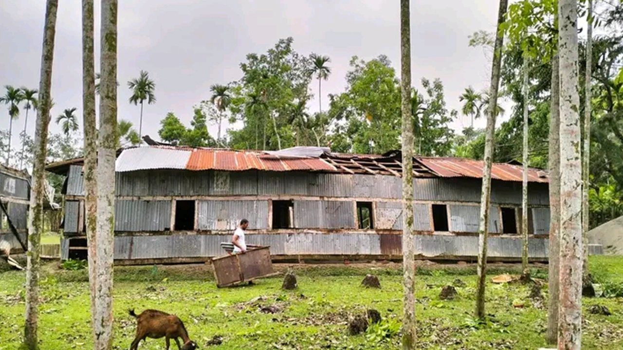 ঝালকাঠিতে পৃথক বজ্রপাতে ২ জনের মৃত্যু। ছবি : কালবেলা