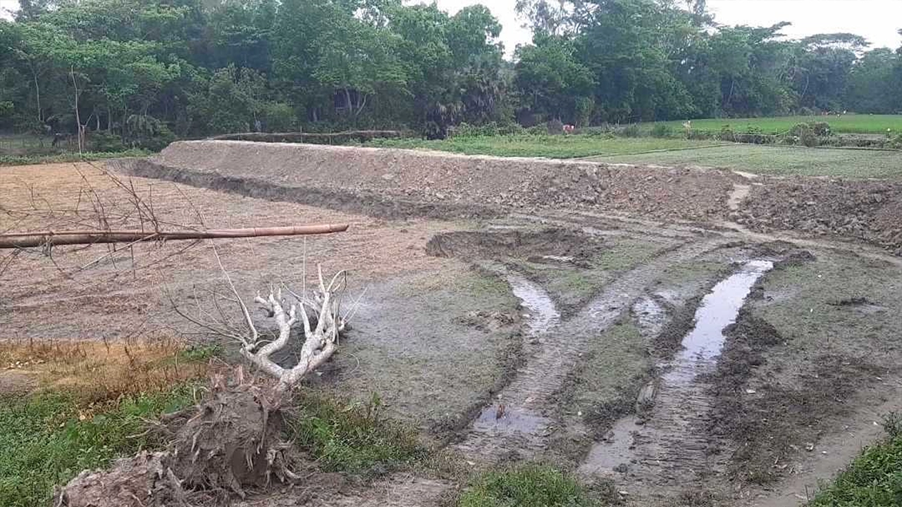 চাঁদপুরের হাজীগঞ্জে রাতের আঁধারে এক রহস্যময় রাস্তা। ছবি : কালবেলা