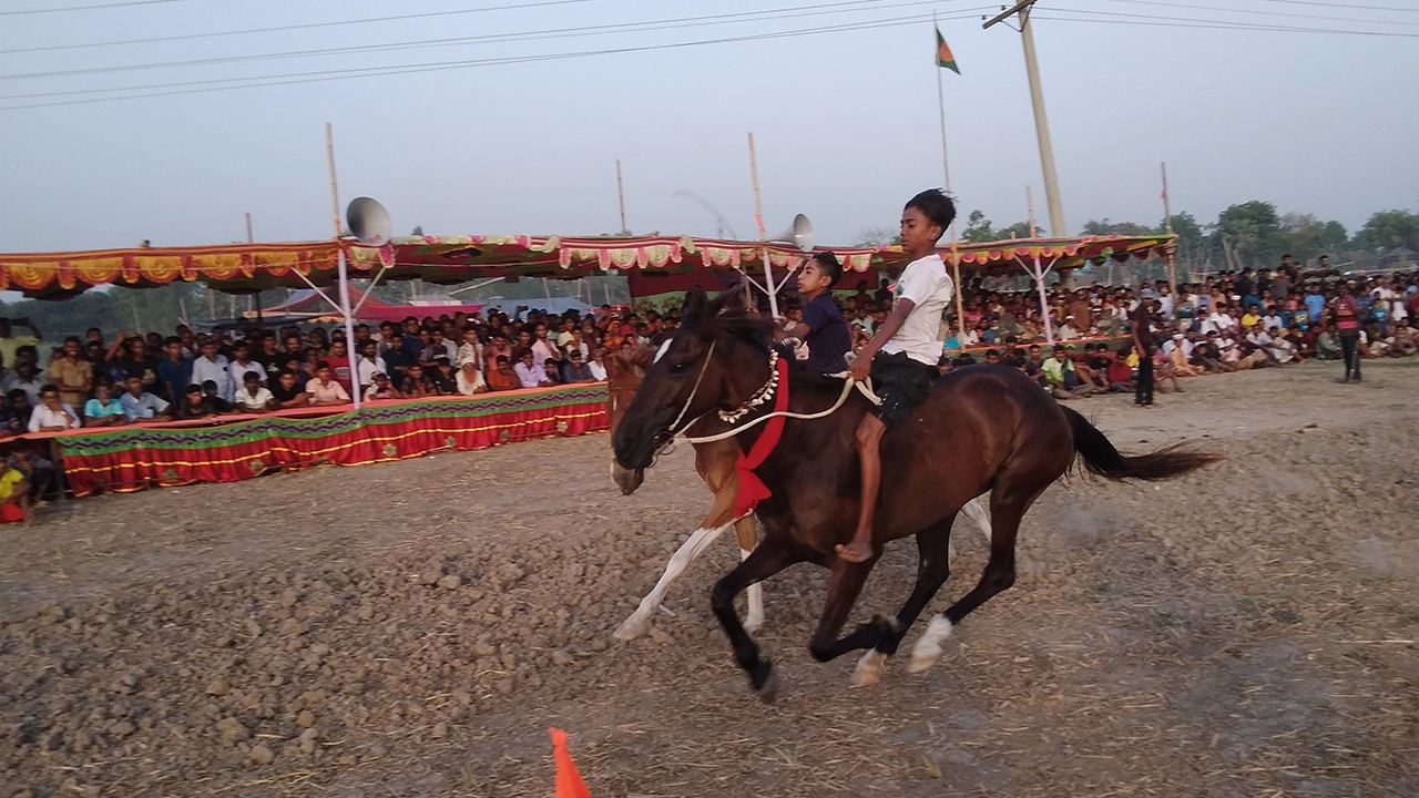 পাবনার চাটমোহরে ঐতিহ্যবাহী ঘোড়দৌড় প্রতিযোগিতা অনুষ্ঠিত। ছবি : কালবেলা