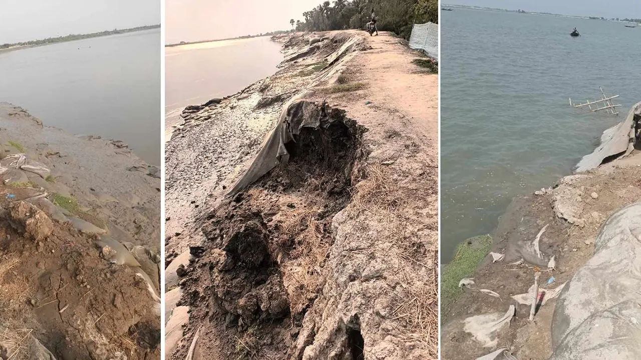 সাতক্ষীরার আশাশুনির আনুলিয়া ইউনিয়নের বিছট বাজার সংলগ্ন খোলপেটুয়া নদীর দীর্ঘ বেড়িবাঁধে ভাঙন ধরে। ছবি : কালবেলা