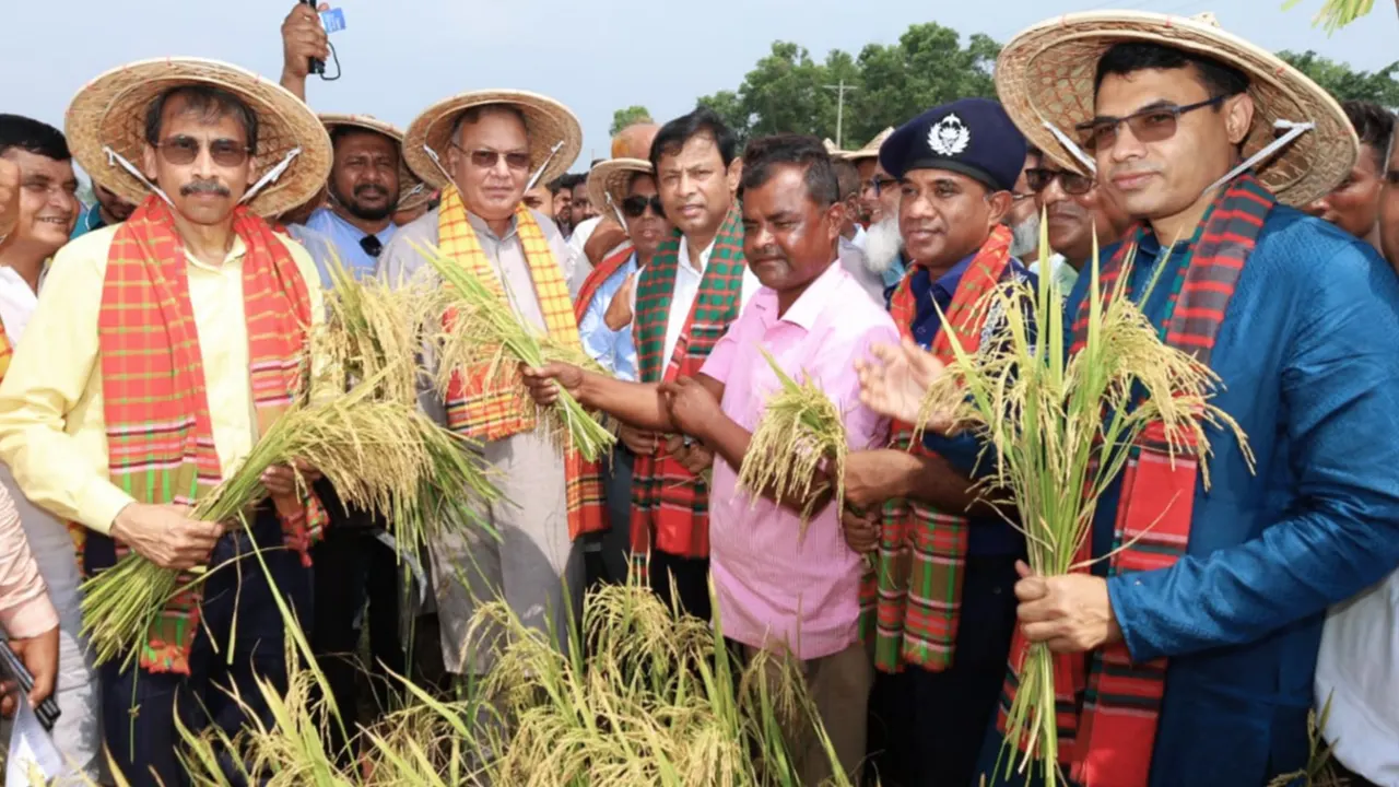 শ্রীমঙ্গল হাইল হাওর এলাকায় বোরো ধানের জমি পরিদর্শনে কৃষিমন্ত্রী। ছবি : কালবেলা